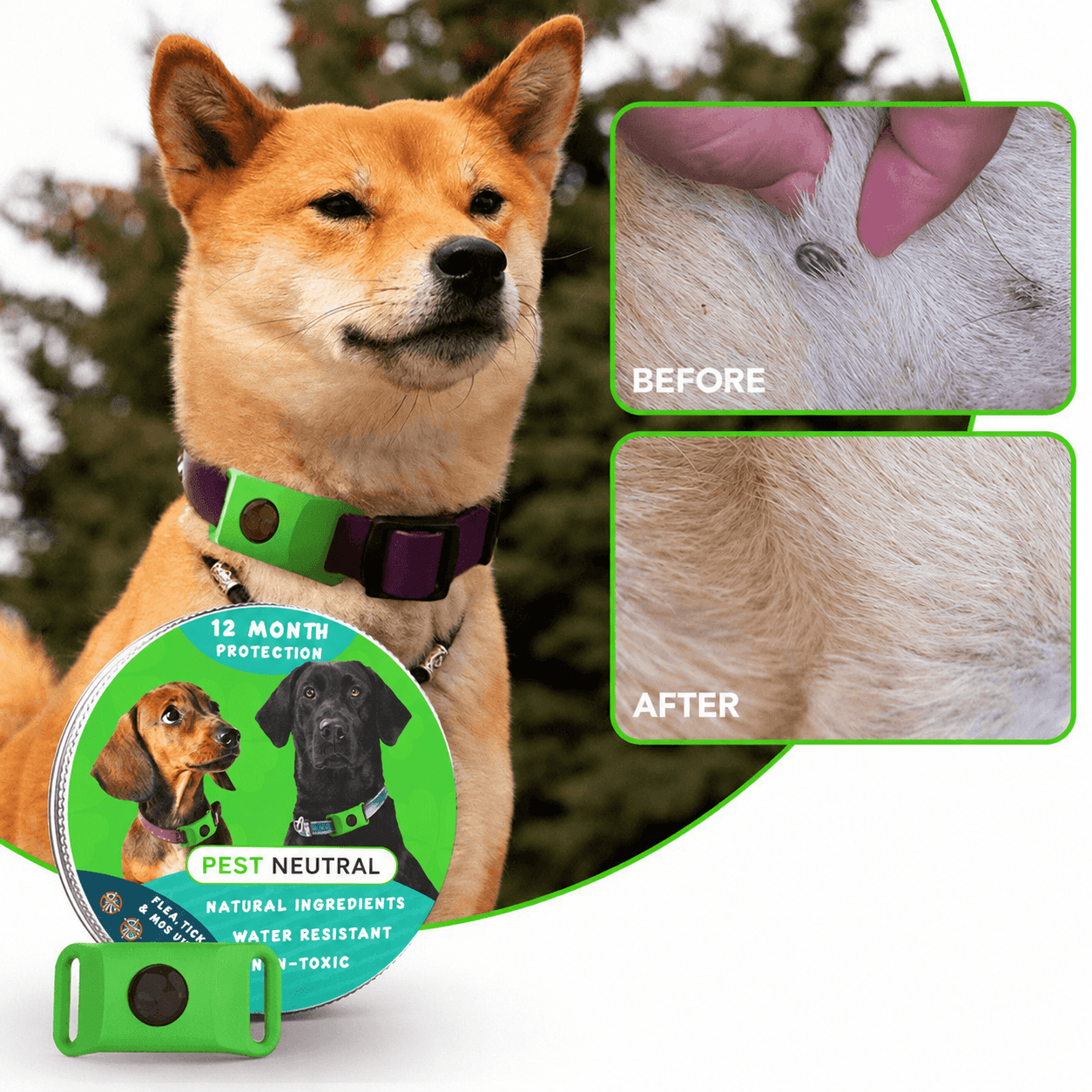 Pest Neutral™ 12 Months Flea and Tick Free - PestNeutral