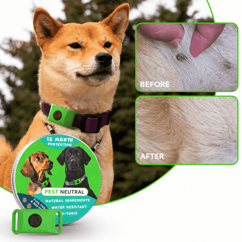 Pest Neutral™ 12 Months Flea and Tick Free - PestNeutral