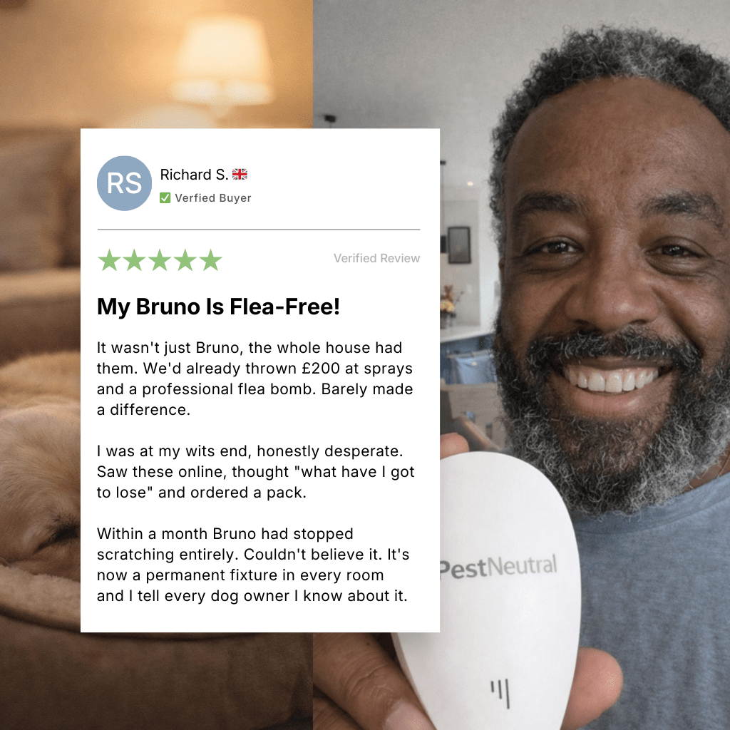 Ultrasonic Fleas Repeller - PestNeutral